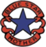 home-logo2 blue star mothers logo